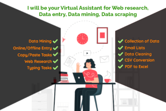 be your virtual assistant for web research, data entry, data mining