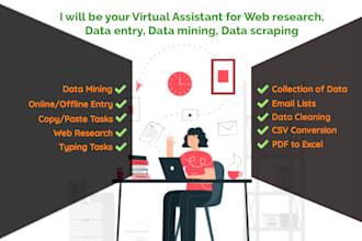 be your VA for web research, data entry, data mining