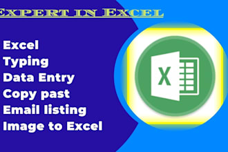 find emails, image to excel, data scraping, excel data entry