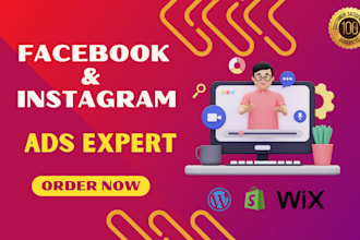 setup, optimize and manage facebook ads instagram marketing and fb ads campaign