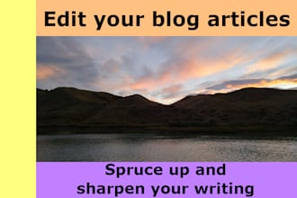 proofread and edit your blog articles
