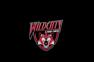 design a new wildcat logo