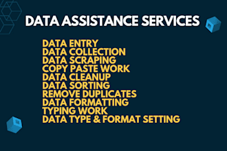 be your virtual assistant for data entry and web research