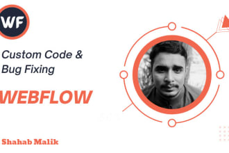 write custom code and fix bugs of webflow website