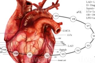 write articles summaries and reports on anatomy biology and biochemistry