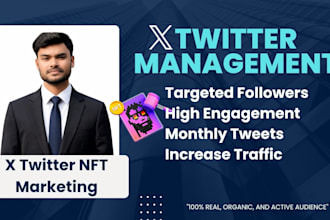 do x twitter marketing for nft, crypto and memecoin organic followers growth
