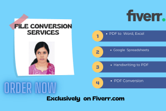 data conversion  at the cheapest rate within 3 hours