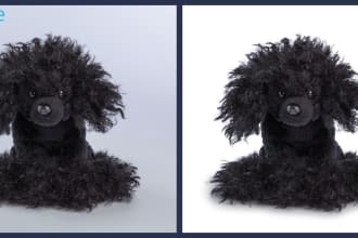do 10 image masking completely