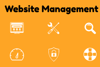 manage website as manager, do maintenance and management