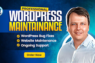 fix your wordpress website