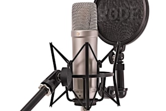 vietnamese professional voice over
