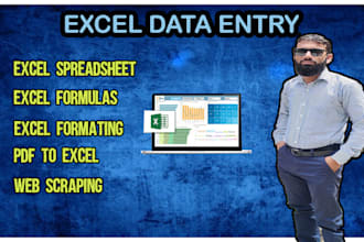 do fast data entry from pdf to excel and custom spreadsheets creation