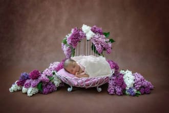 background removal upto 25 images professionally fast