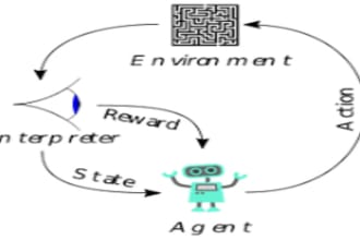 write your reinforcement learning algorithms