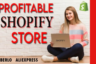 custom shopify store setup by expert
