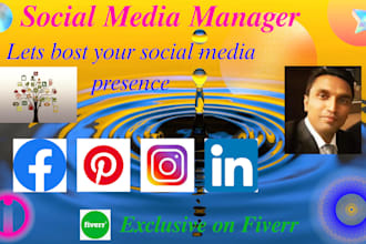 be your social media marketing manager and targeted email list building