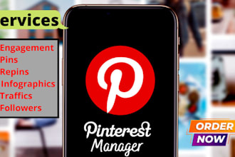 be your pinterest marketing manager and SEO expert