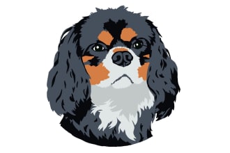 draw you a custom pet animal or mascot in cartoon art style