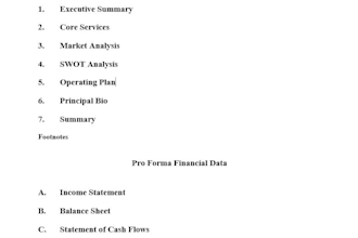 write a professional business plan