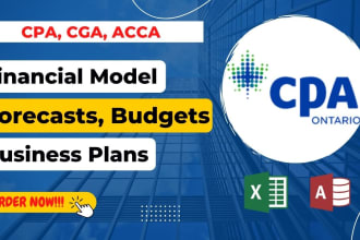 build financial model, budgets and forecasts