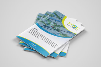 design company profile, broucher, proposal, or annual report