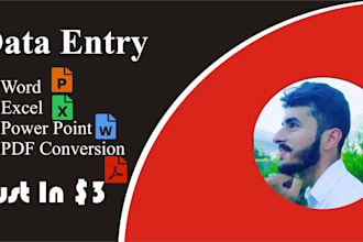 do data entry work in ms office word, excel, power point