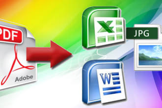 convert pdf to word, retype or recreate scanned PDF docs