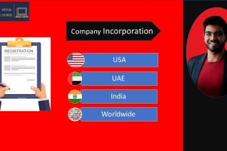 incorporate your business in USA dubai india or singapore