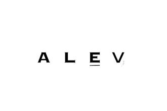 design a simple lettering logo , geometric , signature