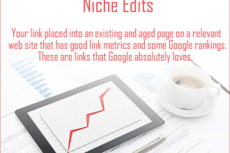 provide niche edit links in relevant and aged content