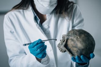 provide forensic science tutoring and project assistance