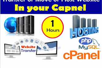 dns, domain transfer, hosting, website transfer, office365, google workspace