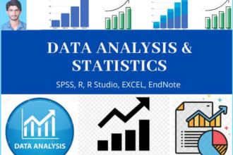 help with any statistical task in spss, r,r studio and smartpls