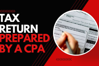 prepare and file individual and business income tax return