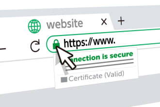 set up SSL and resolve any https or security warnings