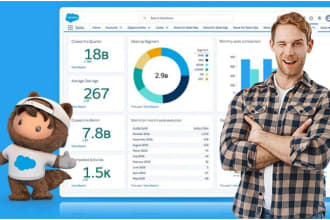 be your professional salesforce developer and salesforce admin