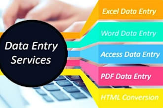 do fastest data entry, copy paste, excel data entry