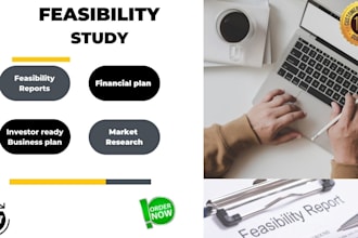 write a feasibility study, business plan, and  business reports