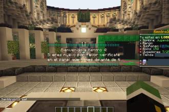 expert minecraft java server configuration