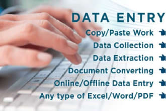 do data entry, copy paste, excel data entry, typing