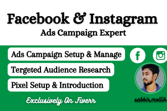 run facebook ads campaign and instagram ads campaign
