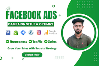 run facebook ads campaign and instagram ads campaign