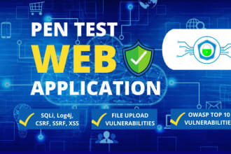 conduct an advanced penetration test of your website