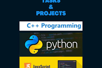 do javascript and python projects