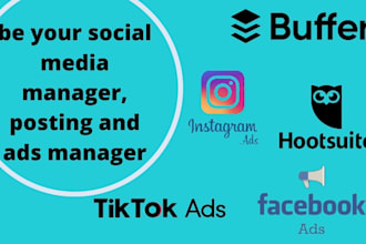 be your social media manager, posting and ads manager