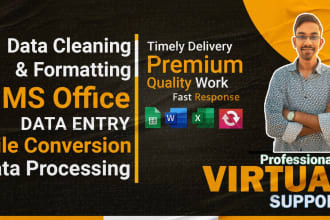 be your fulltime virtual assistant for ms office and data entry project