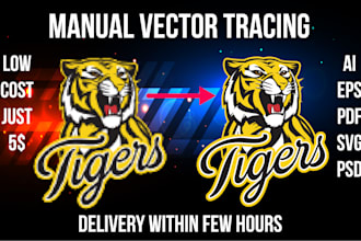 redraw,vector trace, or recreate your image perfectly,vector tracing