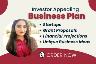 create investor ready business plan with financial plan