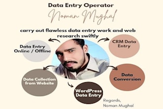 do carry out data entry work web research swiftly