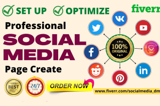 create all social media accounts professionally and set up   business pages